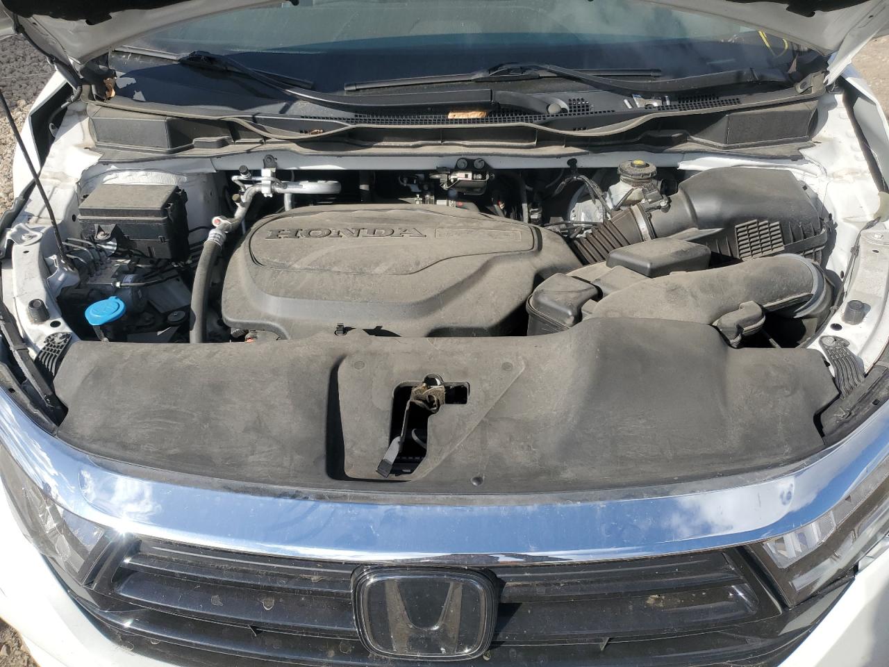 Honda Odyssey Elite Image 5