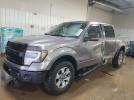 Ford F-150 Supercrew Image 1
