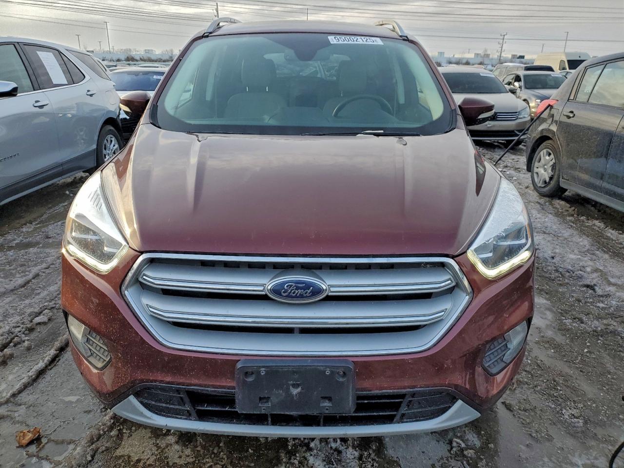 Ford Escape Titanium Image 4