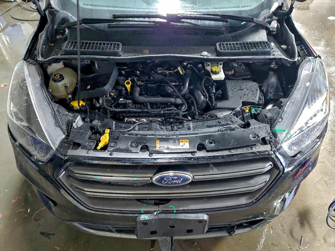 Ford Escape Sel Image 9