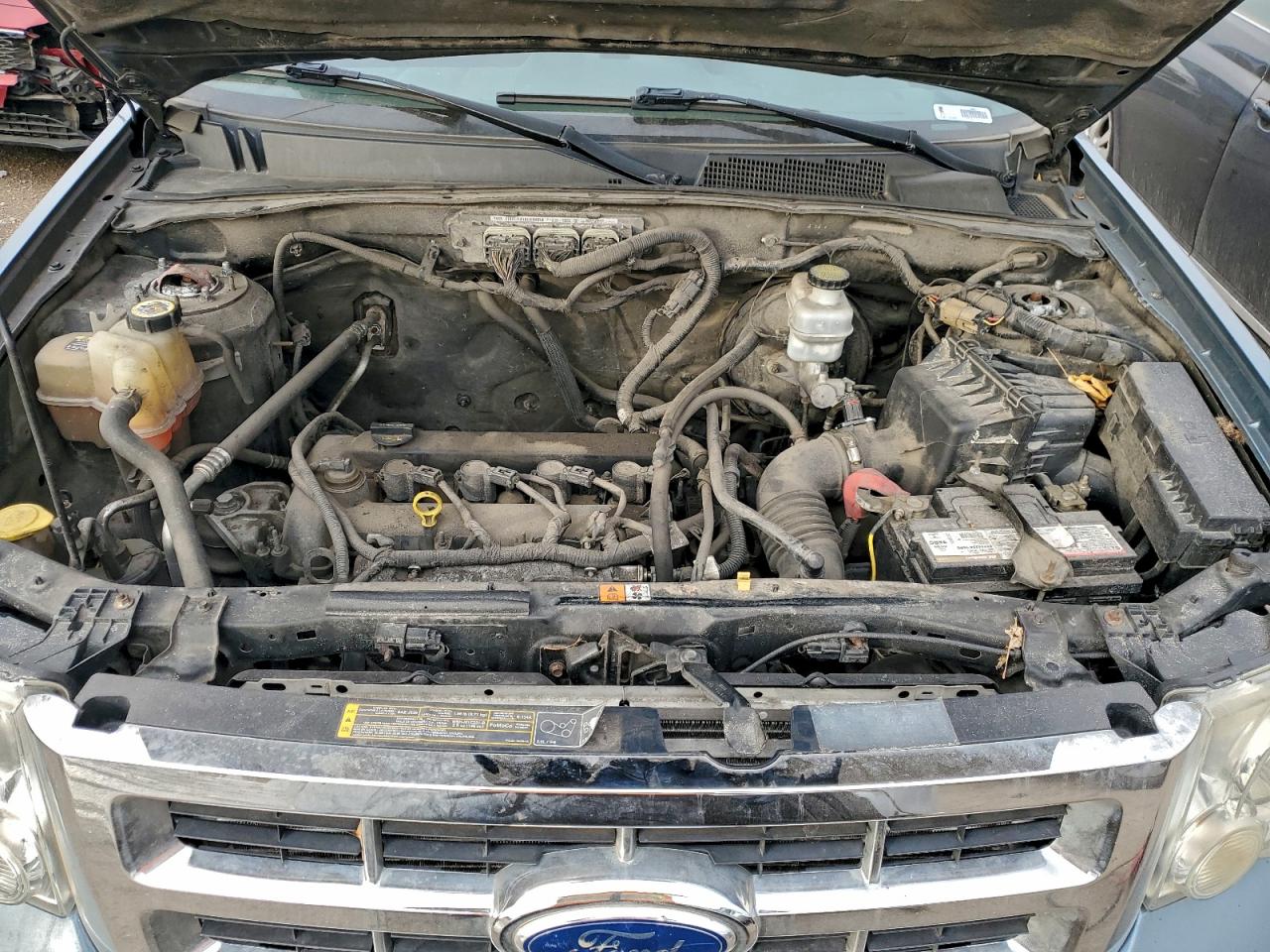 Ford Escape Xlt Image 6