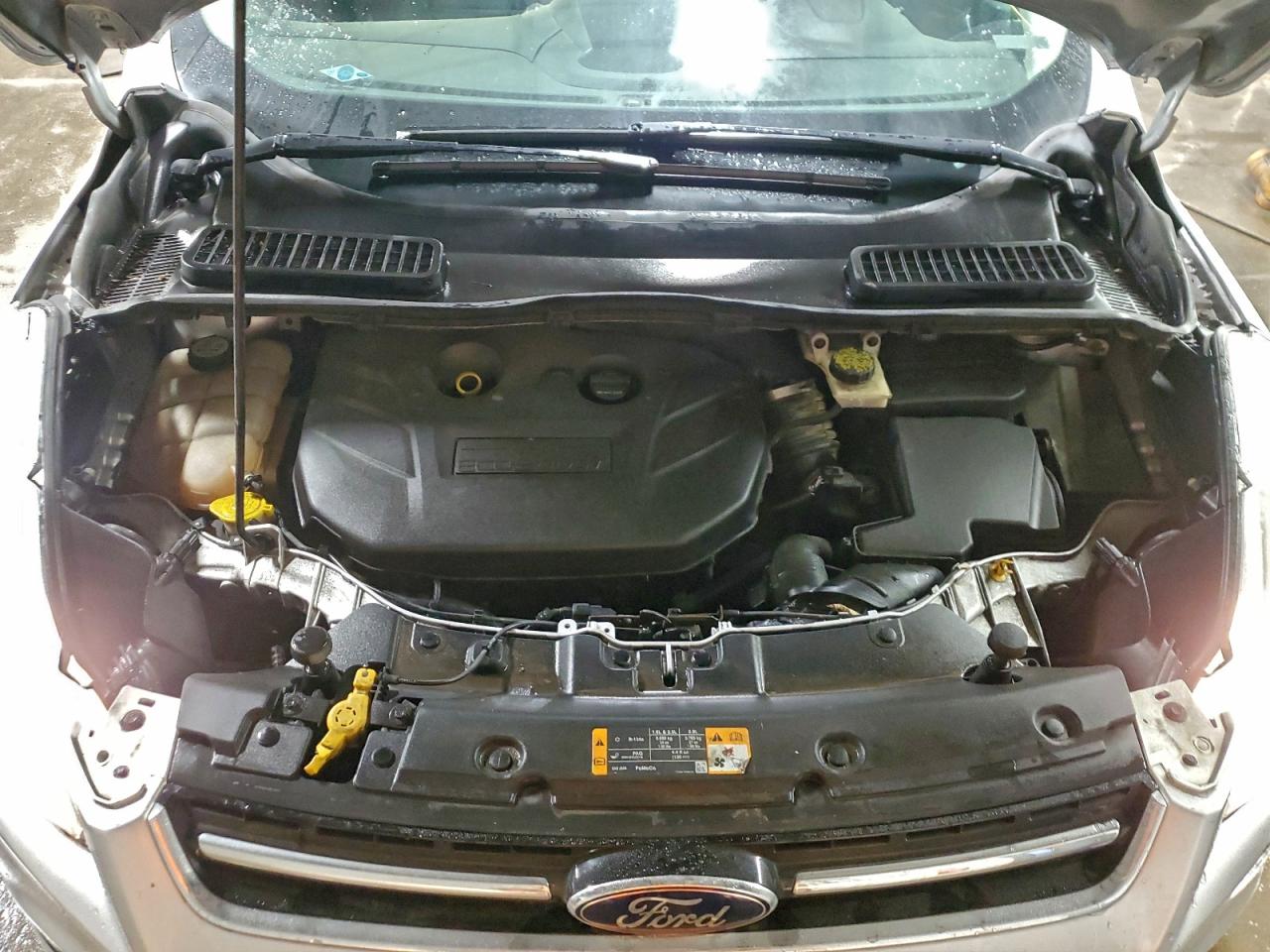 Ford Escape Sel Image 8