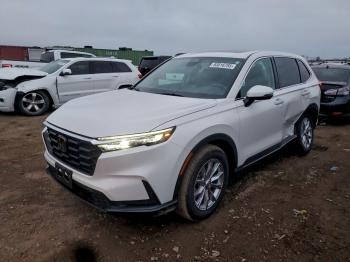  Salvage Honda Crv