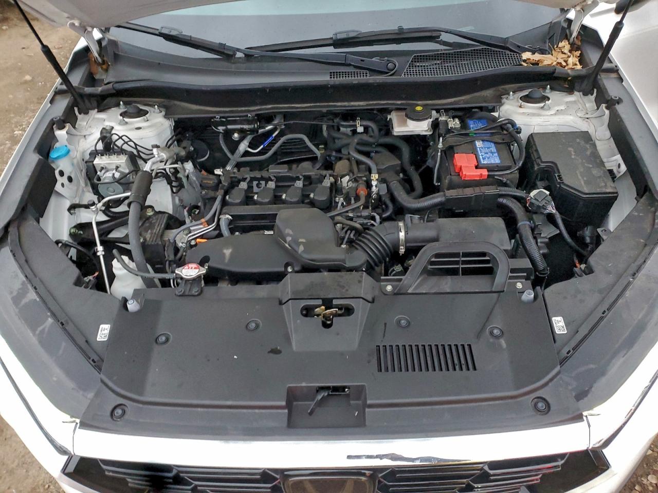 Honda Crv Exl Image 11