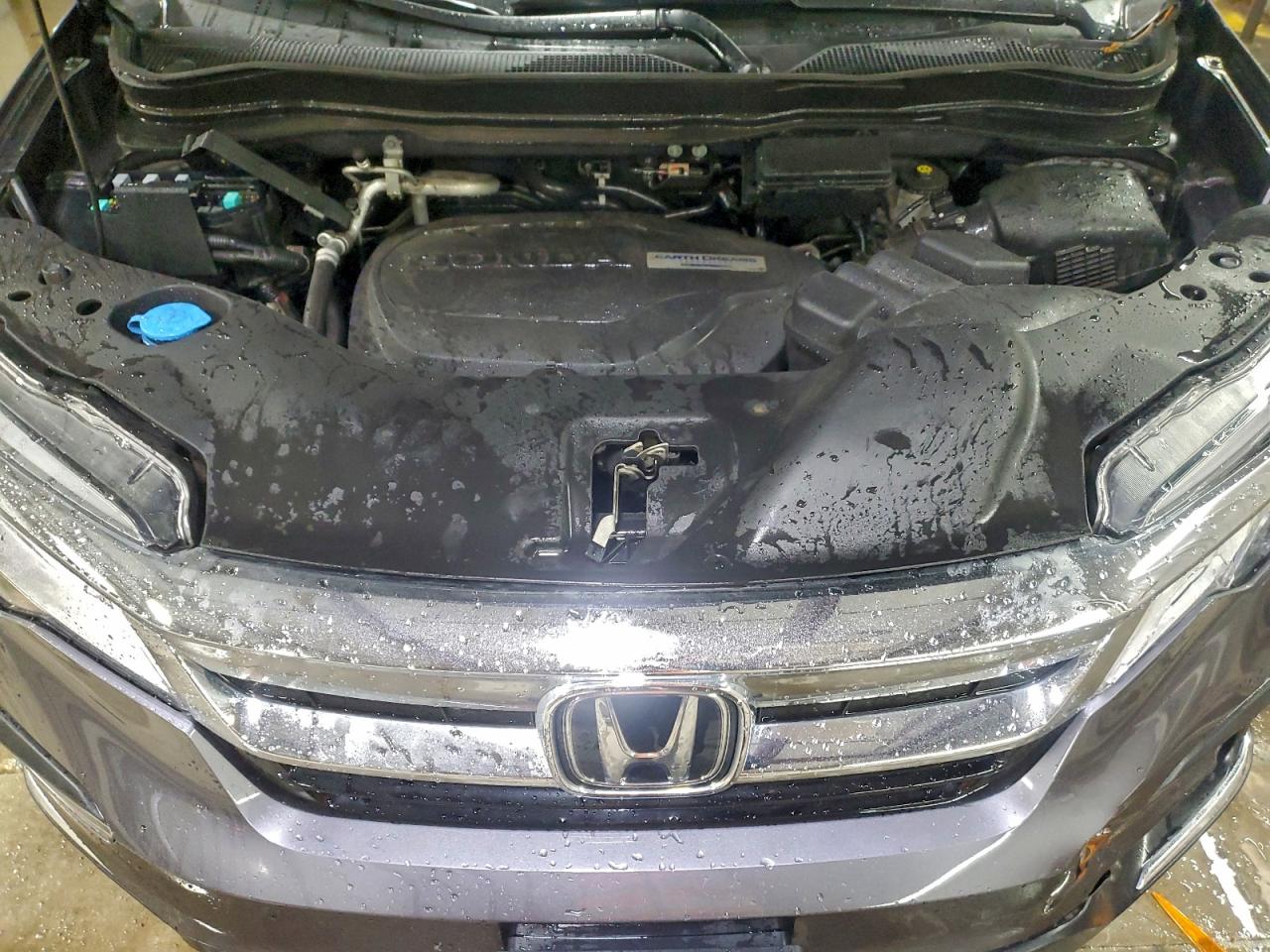 Honda Pilot Elite Image 7