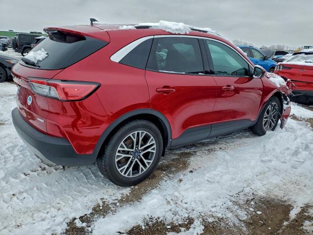 Ford Escape Sel Image 4