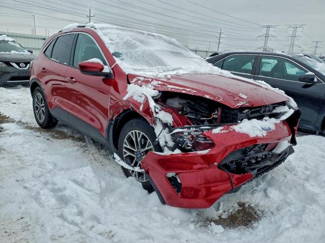 Ford Escape Sel Image 5