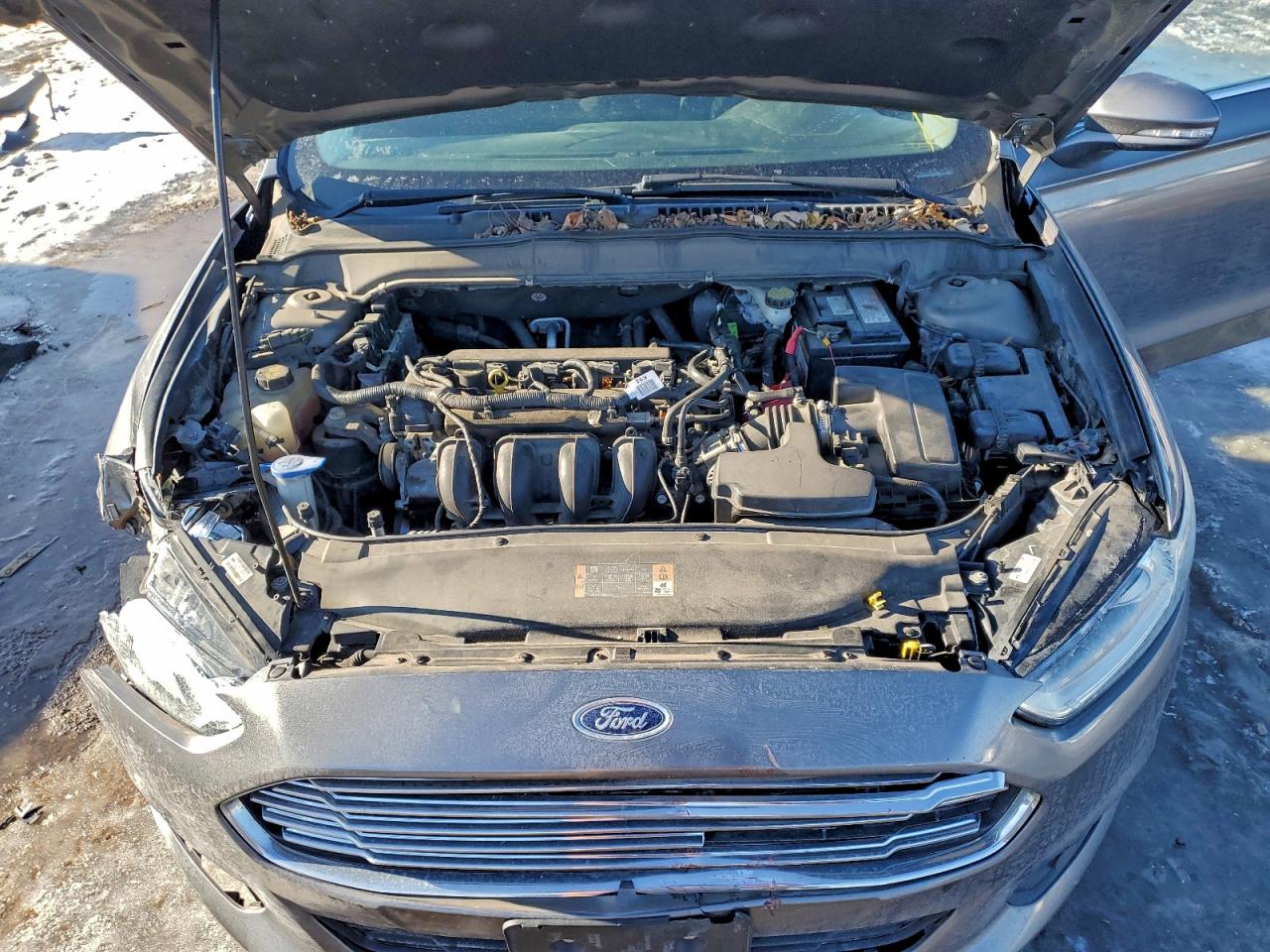 Ford Fusion Se Image 10