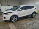 Ford Escape Titanium Image 1