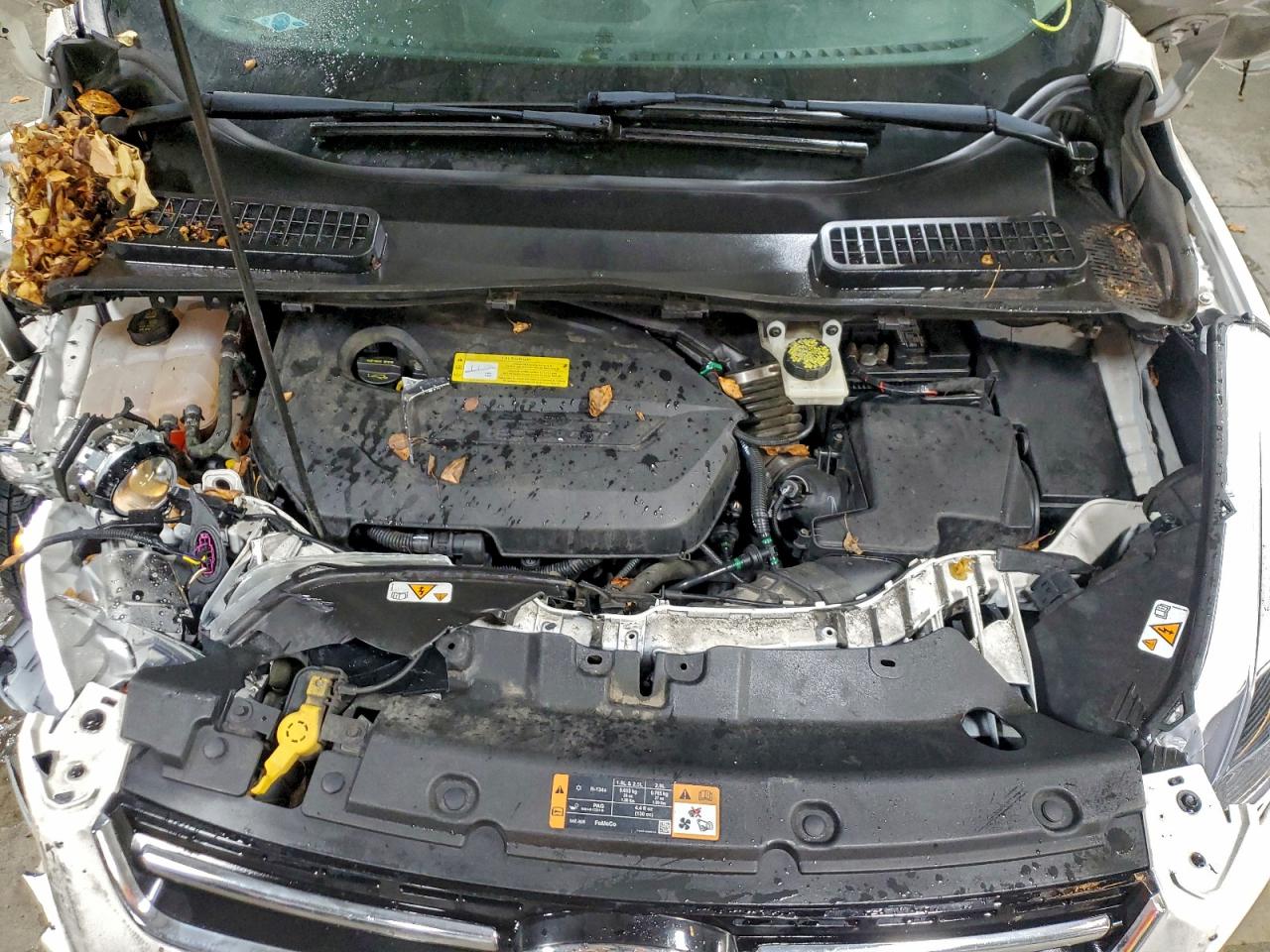 Ford Escape Titanium Image 11