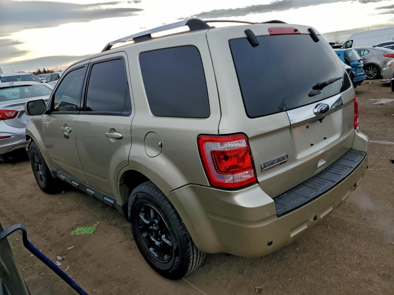 Ford Escape Limited Image 6