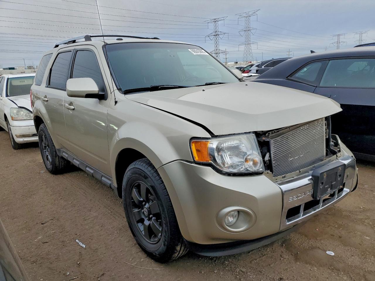 Ford Escape Limited Image 4