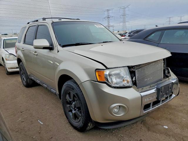 Ford Escape Limited Image 4