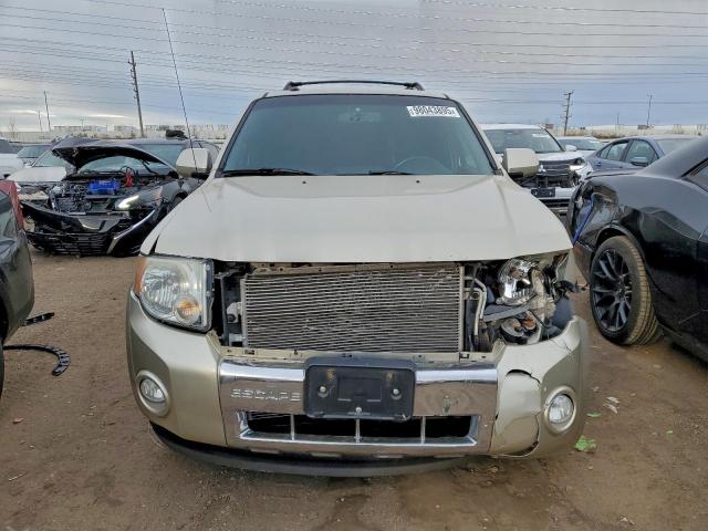 Ford Escape Limited Image 7