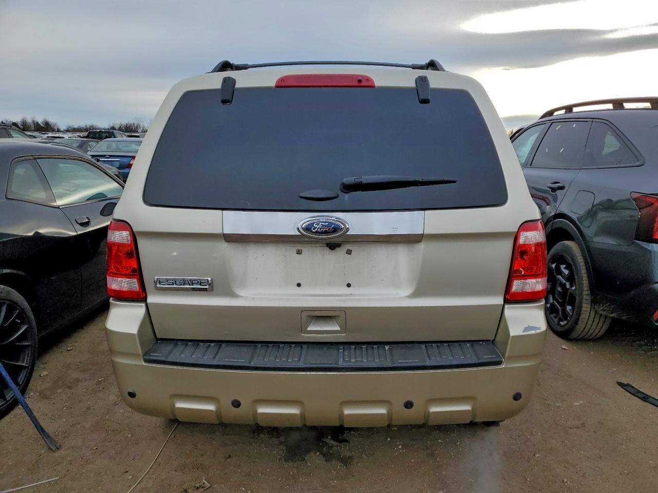 Ford Escape Limited Image 3