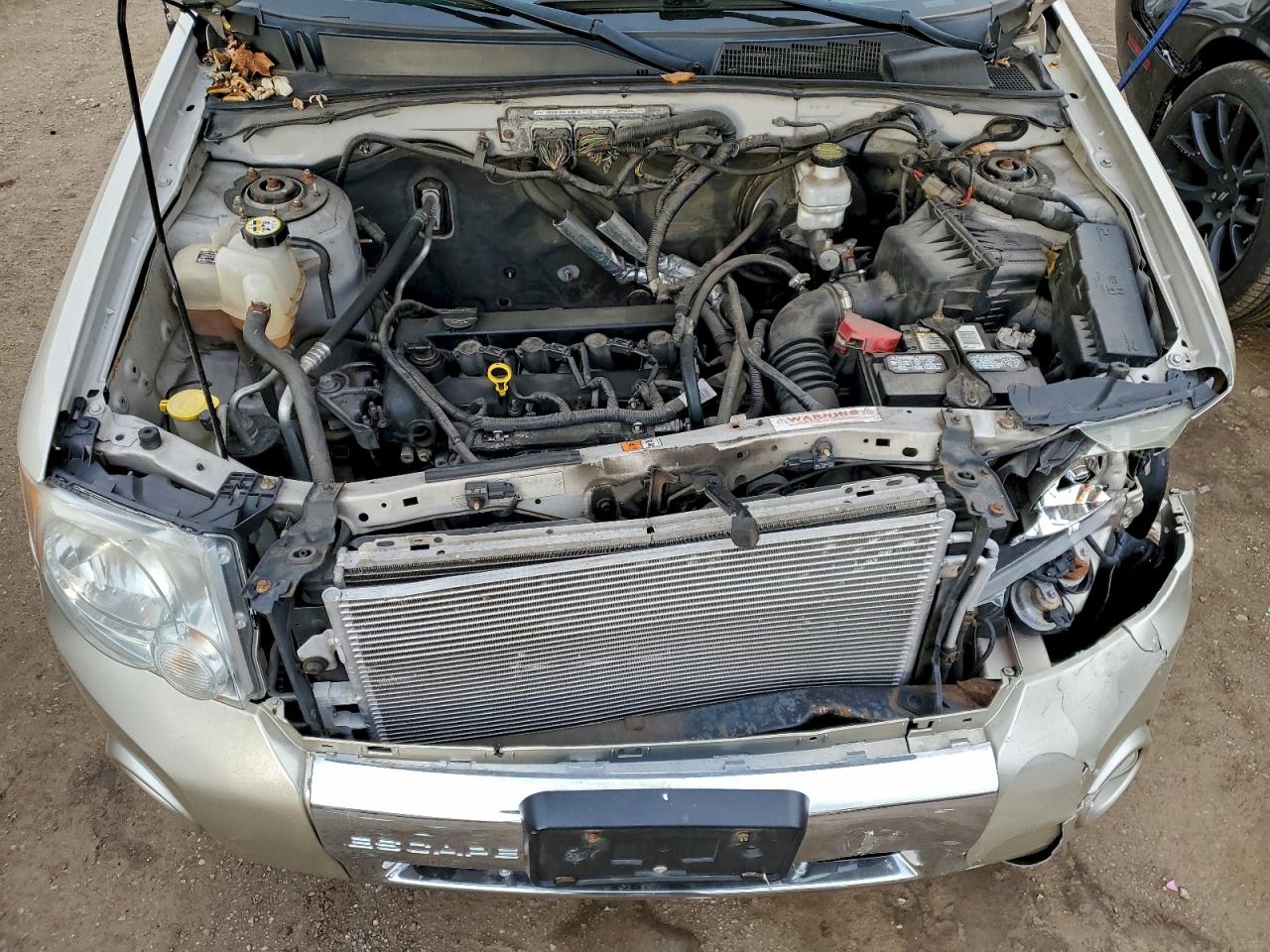 Ford Escape Limited Image 8