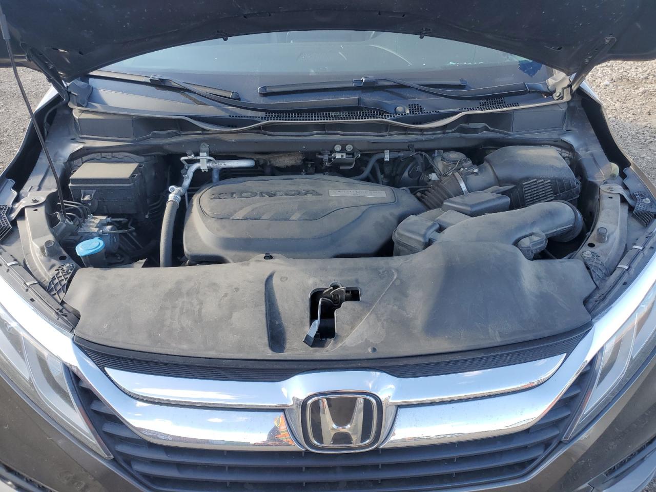 Honda Odyssey Exl Image 3