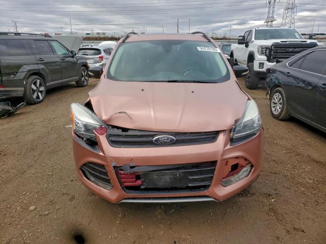 Ford Escape Titanium Image 4