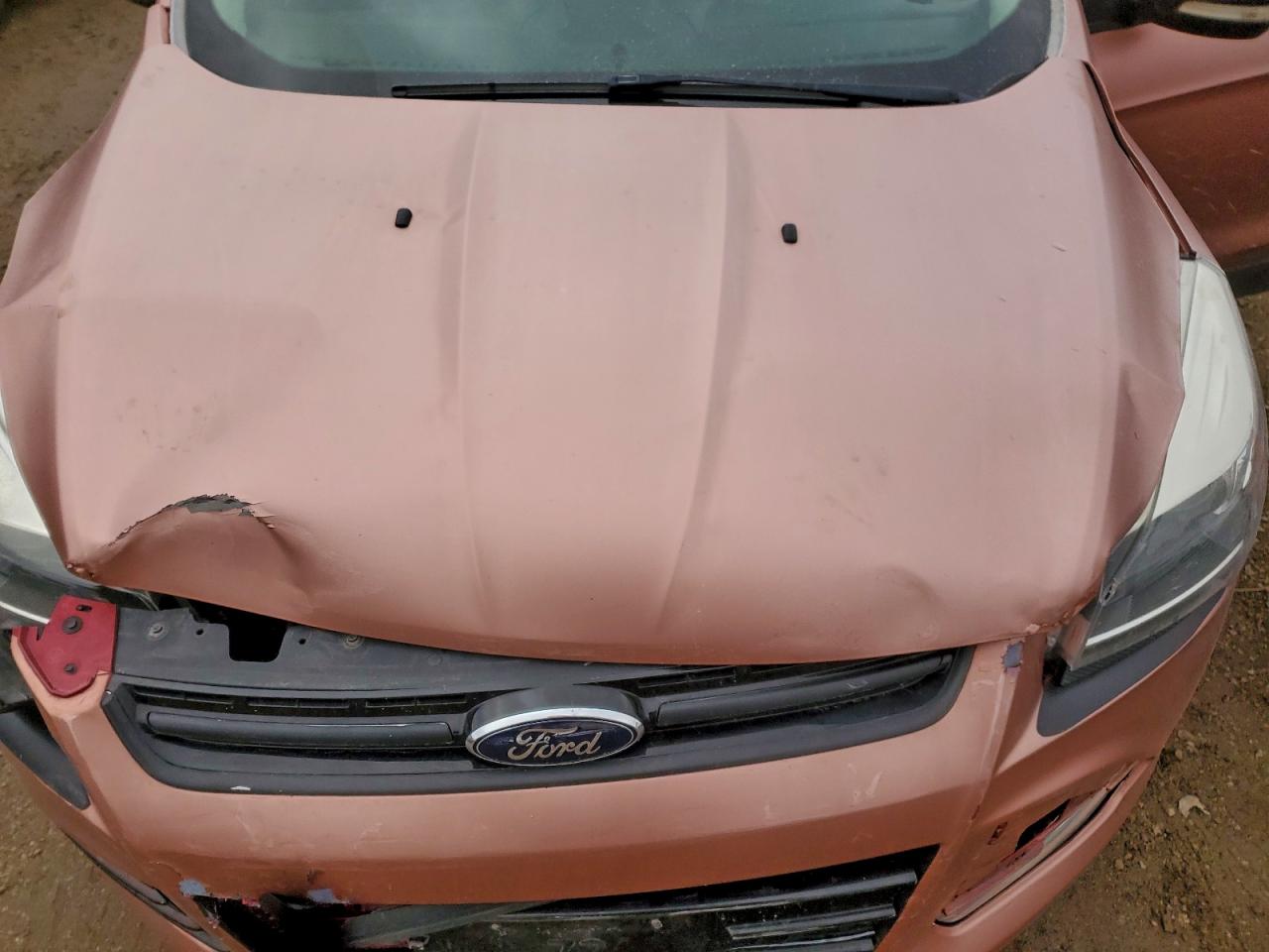 Ford Escape Titanium Image 9