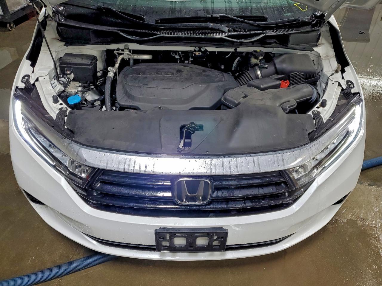 Honda Odyssey Exl Image 13