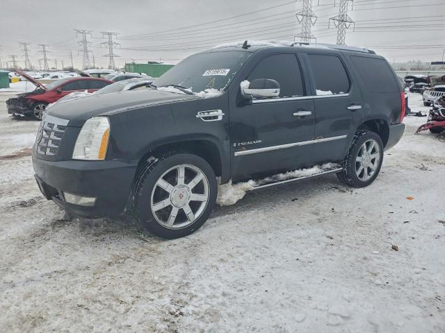  Salvage Cadillac Escalade