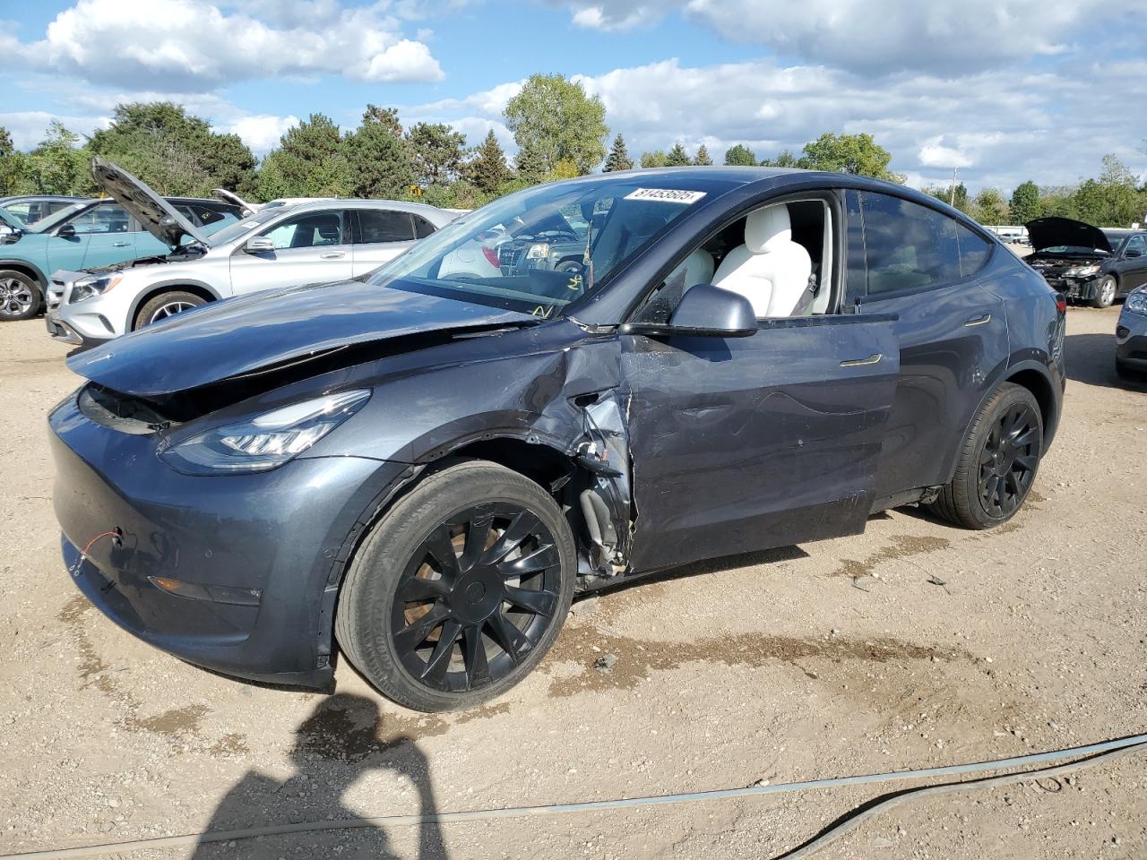 Tesla Model Y Image 1
