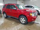 Ford Escape Xlt Image 6