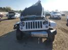 Jeep Wrangler Sahara Image 5