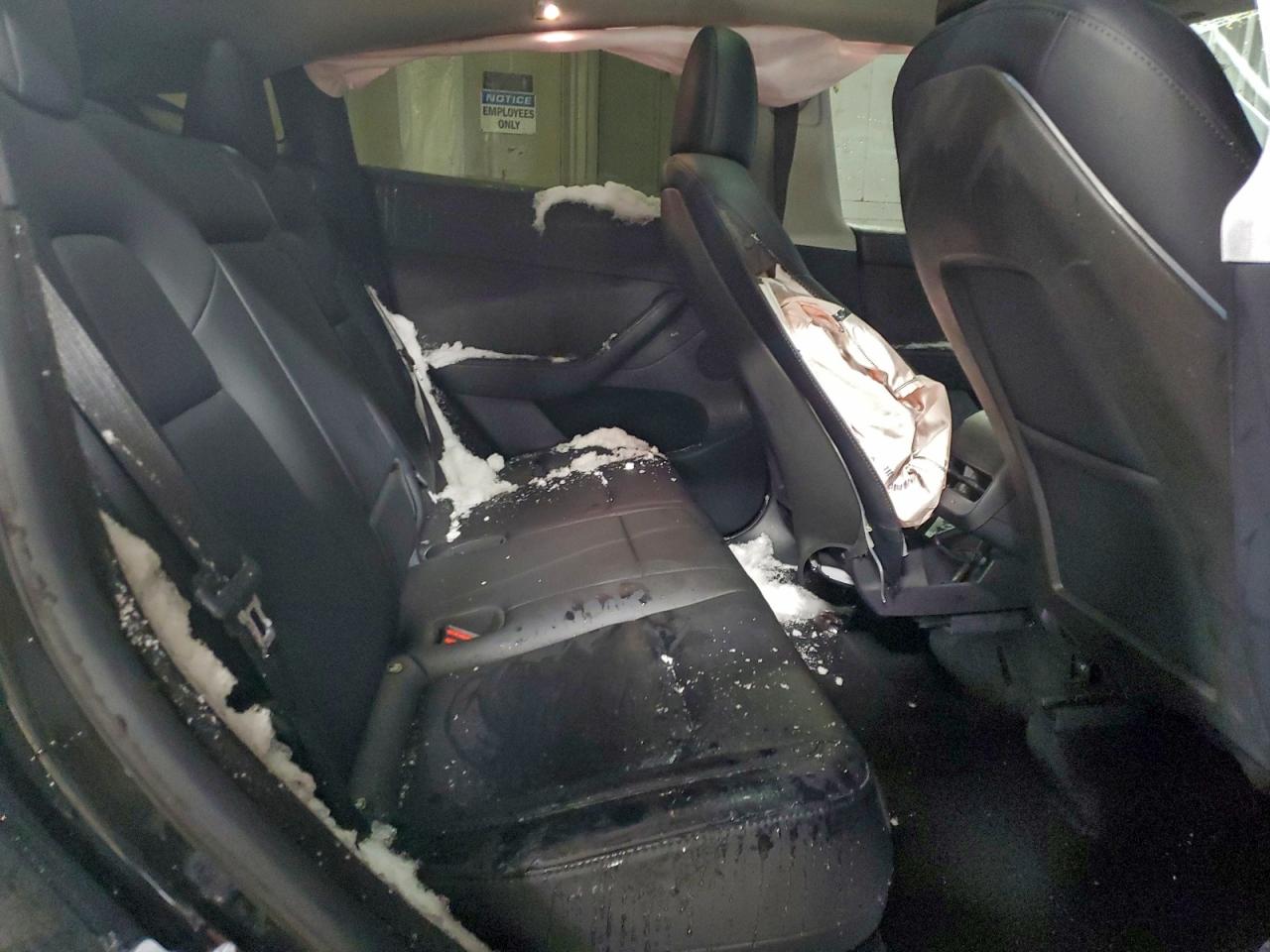 Tesla Model Y Image 11