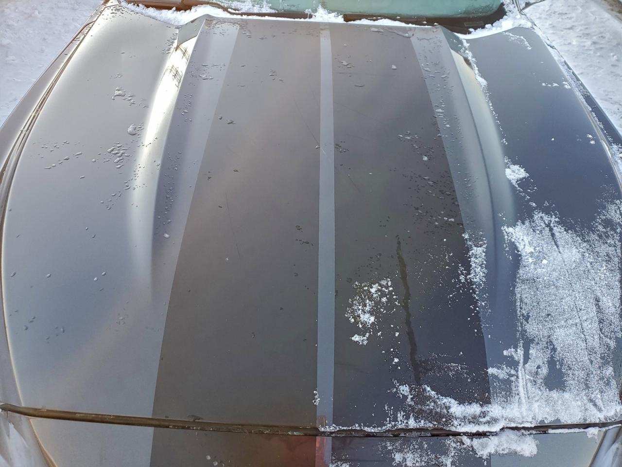 Ford Mustang Image 8