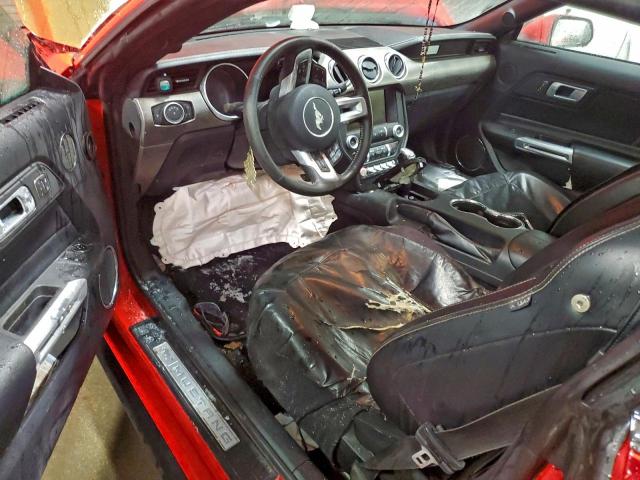 Ford Mustang Image 4