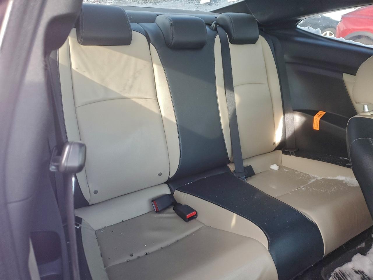 Honda Civic Exl Image 6