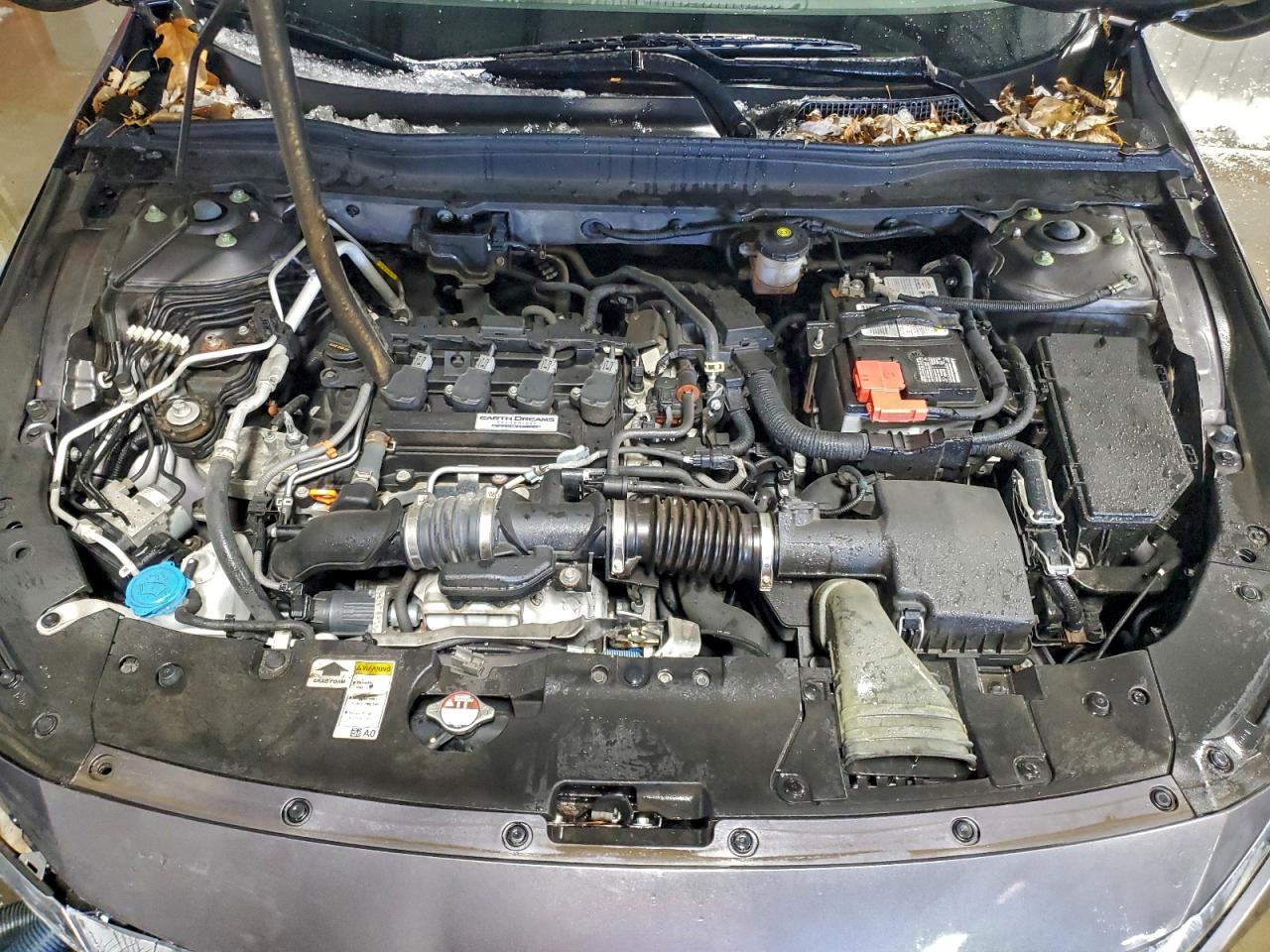 Honda Accord Exl Image 5