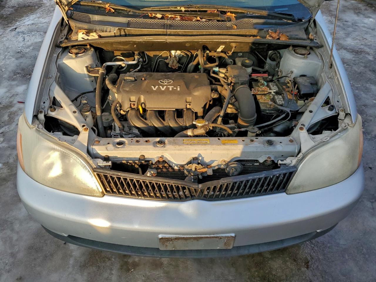 Toyota ECHO Image 11