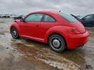 Volkswagen Beetle Image 6