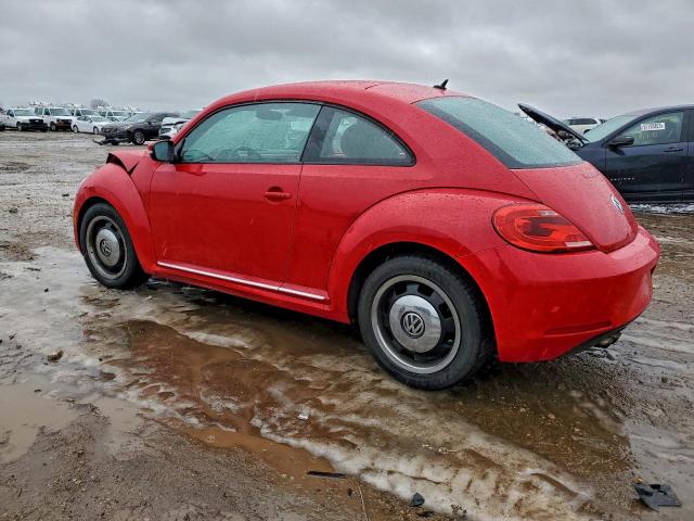 Volkswagen Beetle Image 6