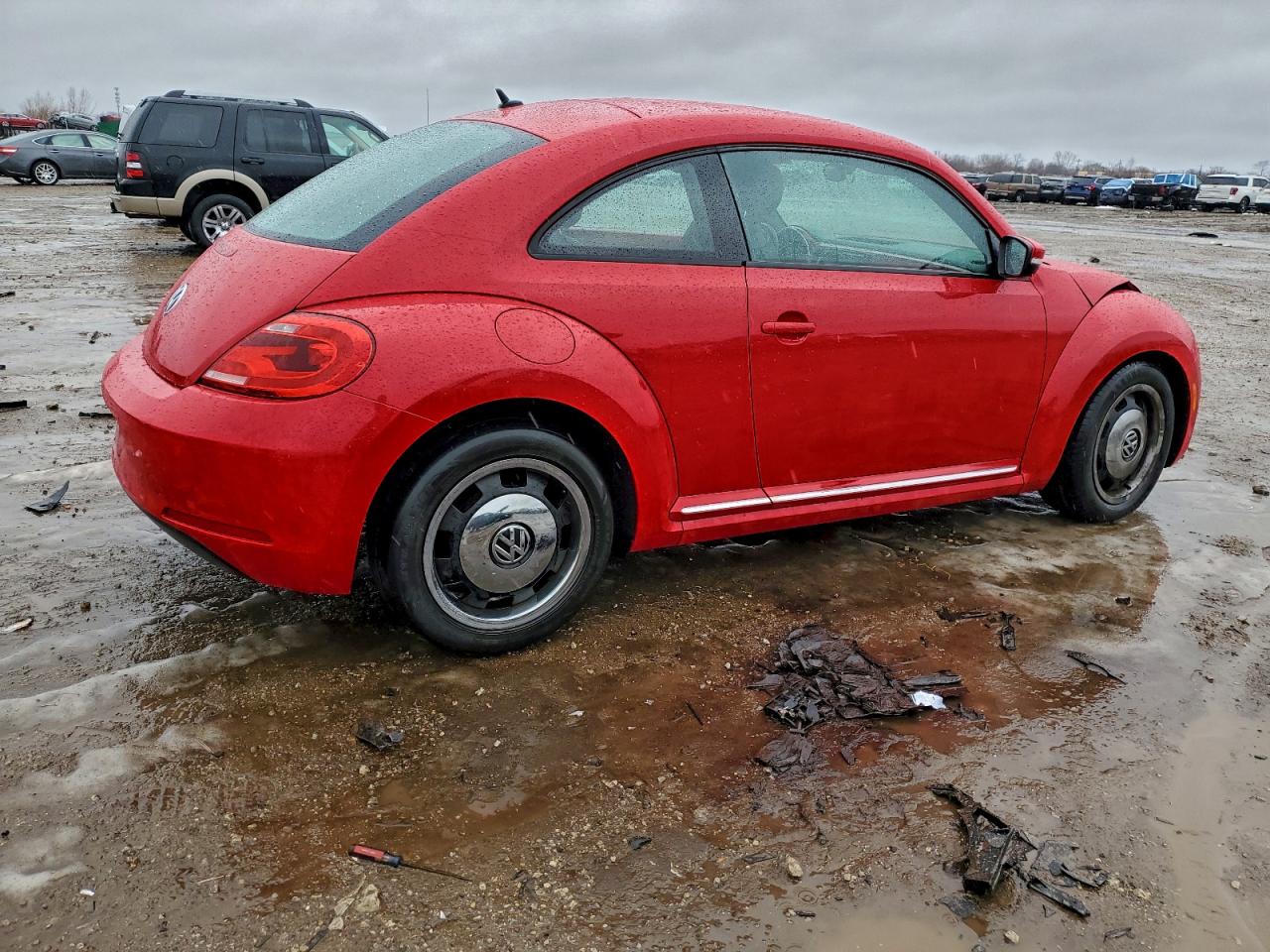 Volkswagen Beetle Image 7