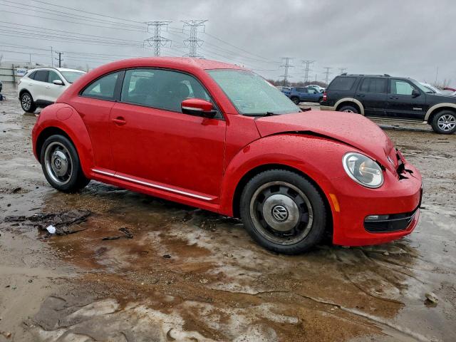 Volkswagen Beetle Image 2