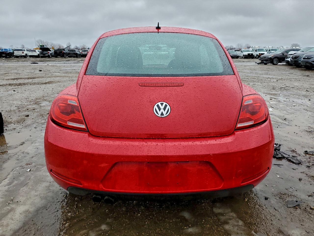 Volkswagen Beetle Image 4