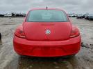 Volkswagen Beetle Image 4
