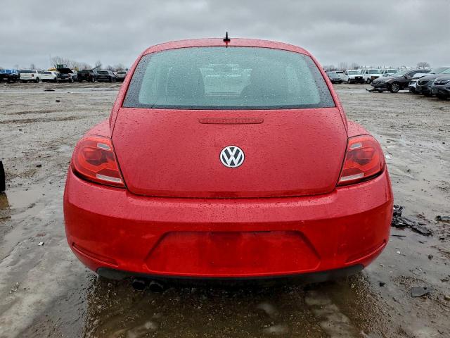 Volkswagen Beetle Image 4