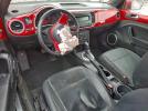 Volkswagen Beetle Image 5