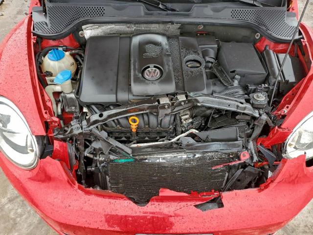 Volkswagen Beetle Image 12