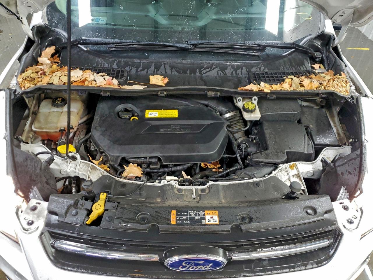 Ford Escape Se Image 10