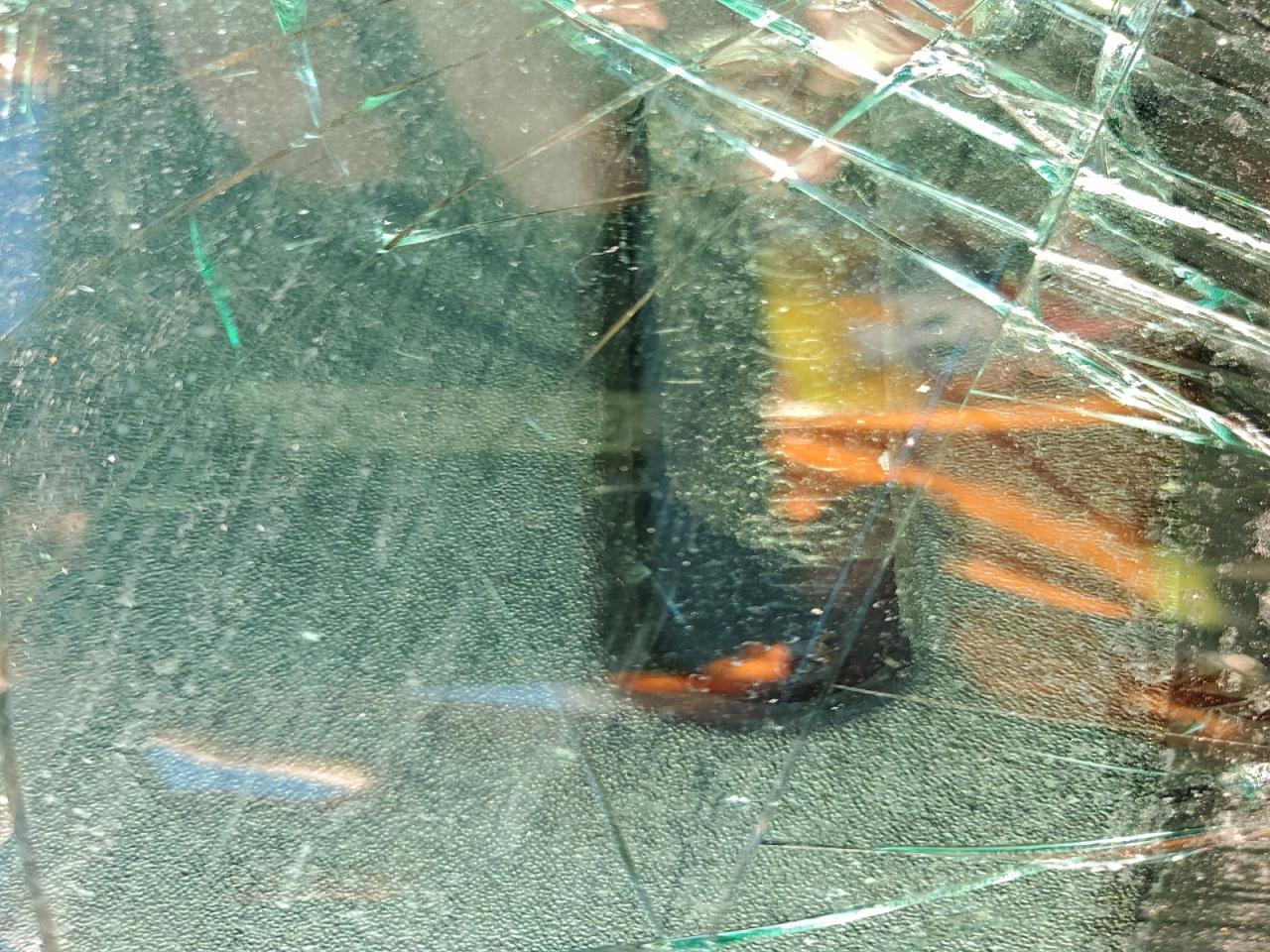 Dodge Caravan Se Image 11