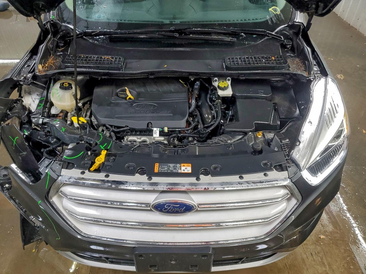 Ford Escape Sel Image 5
