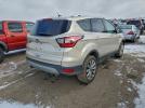 Ford Escape Titanium Image 5