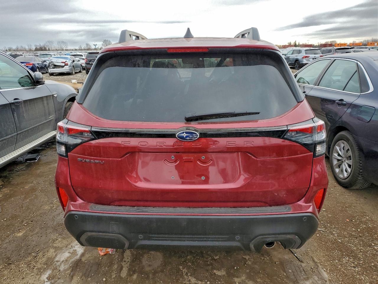 Subaru Forester Limited Image 12