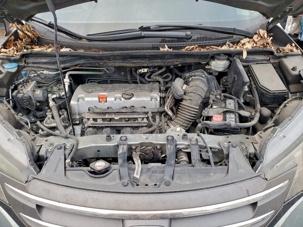 Honda Crv Lx Image 3