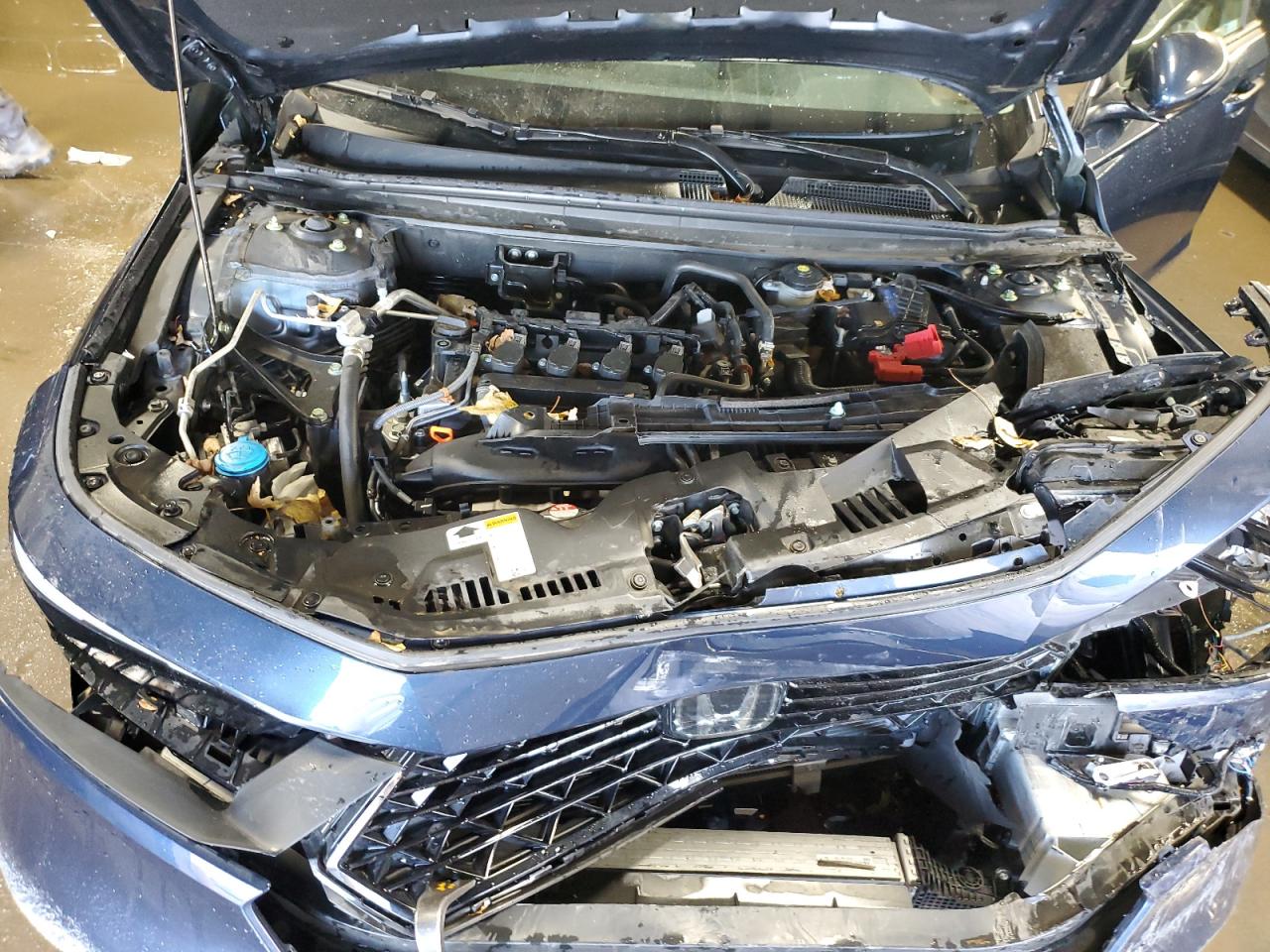 Honda Accord Ex Image 8